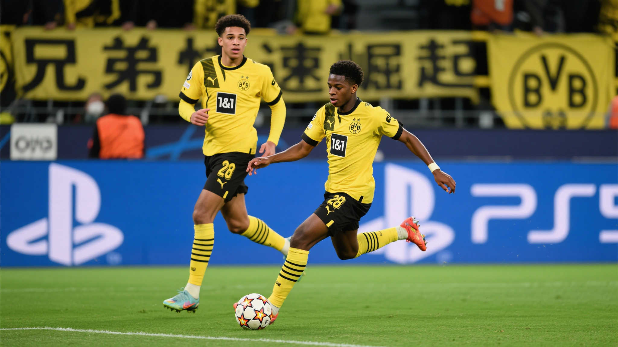 海星体育电脑下载