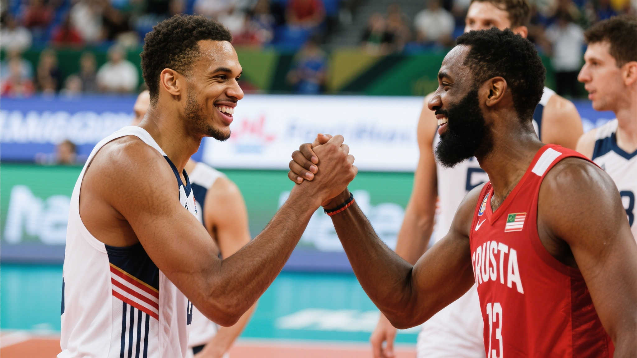 海星体育平台网页版入口